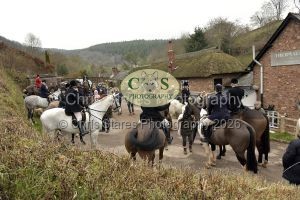 1771282953_1_dsc6555