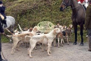 1771282966_12_dsc6584