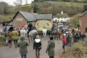 1771282969_15_dsc6593