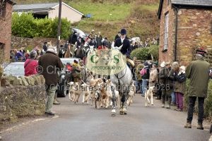 1771282970_16_dsc6595