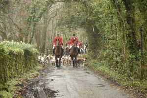 1772029379_1772029379_dsc7957