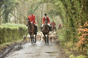 1772029384_1772029384_dsc7958