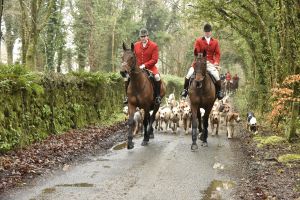 1772029398_1772029398_dsc7962