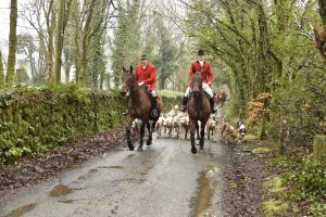 1772029407_1772029407_dsc7964