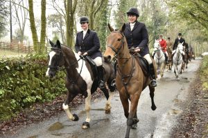 1772029450_1772029450_dsc7974