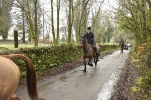 1772029483_1772029483_dsc7981