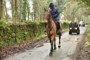 1772029492_1772029492_dsc7983