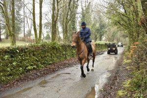 1772029497_1772029497_dsc7984