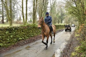 1772029502_1772029502_dsc7985