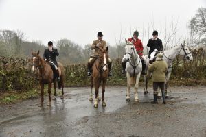 1772029529_1772029529_dsc7992