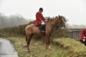 1772029537_1772029537_dsc7994