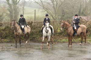 1772029605_1772029605_dsc8005