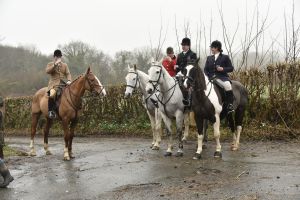 1772029620_1772029620_dsc8008