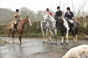 1772029632_1772029632_dsc8011