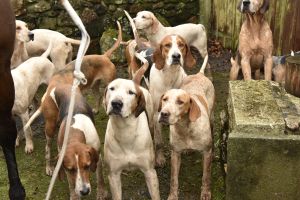 1772029640_1772029640_dsc8013