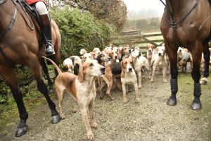 1772029655_1772029655_dsc8016