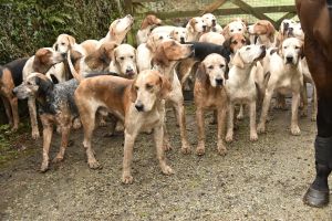 1772029673_1772029673_dsc8020