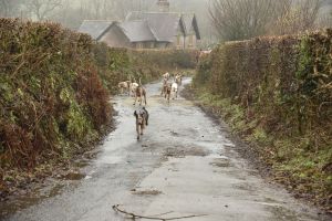 1772029722_1772029722_dsc8032