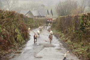 1772029726_1772029726_dsc8033