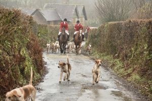 1772029730_1772029730_dsc8034