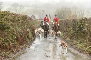 1772029735_1772029735_dsc8035