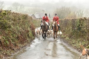 1772029739_1772029739_dsc8036