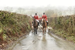 1772029752_1772029752_dsc8039