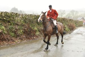 1772029778_1772029778_dsc8045