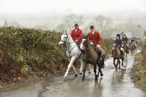 1772029786_1772029786_dsc8047