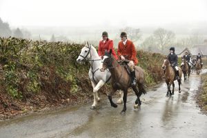 1772029793_1772029793_dsc8049