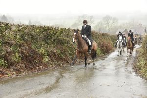 1772029805_1772029805_dsc8052