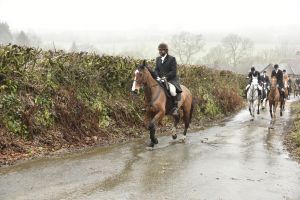 1772029810_1772029810_dsc8053