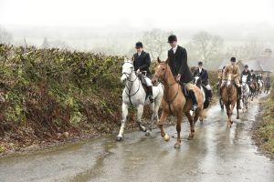 1772029818_1772029818_dsc8055