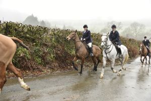 1772029837_1772029837_dsc8060