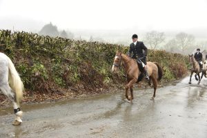 1772029849_1772029849_dsc8063