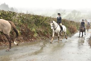 1772029861_1772029861_dsc8067