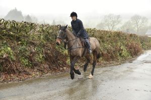 1772029869_1772029869_dsc8069