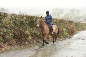 1772029881_1772029881_dsc8072