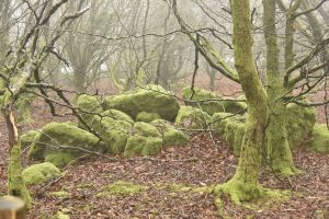 1772029896_1772029896_dsc8075