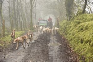 1772029905_1772029905_dsc8077