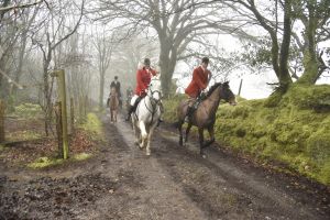 1772029939_1772029939_dsc8085