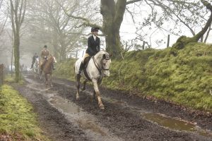 1772029962_1772029962_dsc8091