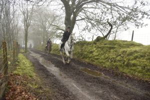 1772029983_1772029983_dsc8096