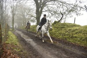 1772029988_1772029988_dsc8097