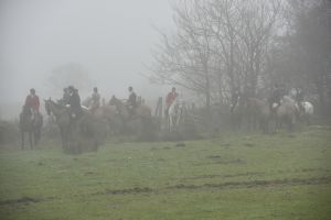 1772030003_1772030003_dsc8101