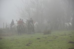 1772030006_1772030006_dsc8102