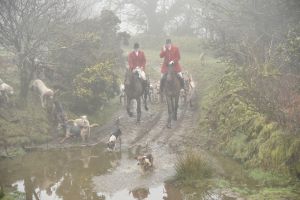 1772030013_1772030013_dsc8104