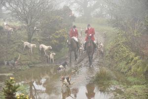 1772030016_1772030016_dsc8105