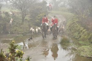 1772030024_1772030024_dsc8107