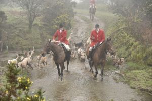 1772030037_1772030037_dsc8110